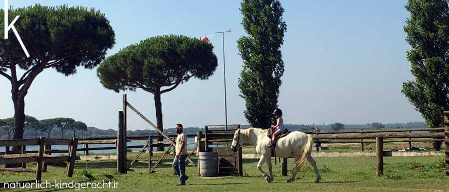 Spiaggia Romea Pferdezucht Reiturlaub in Italien Delta-Camargue weiße Pferde+